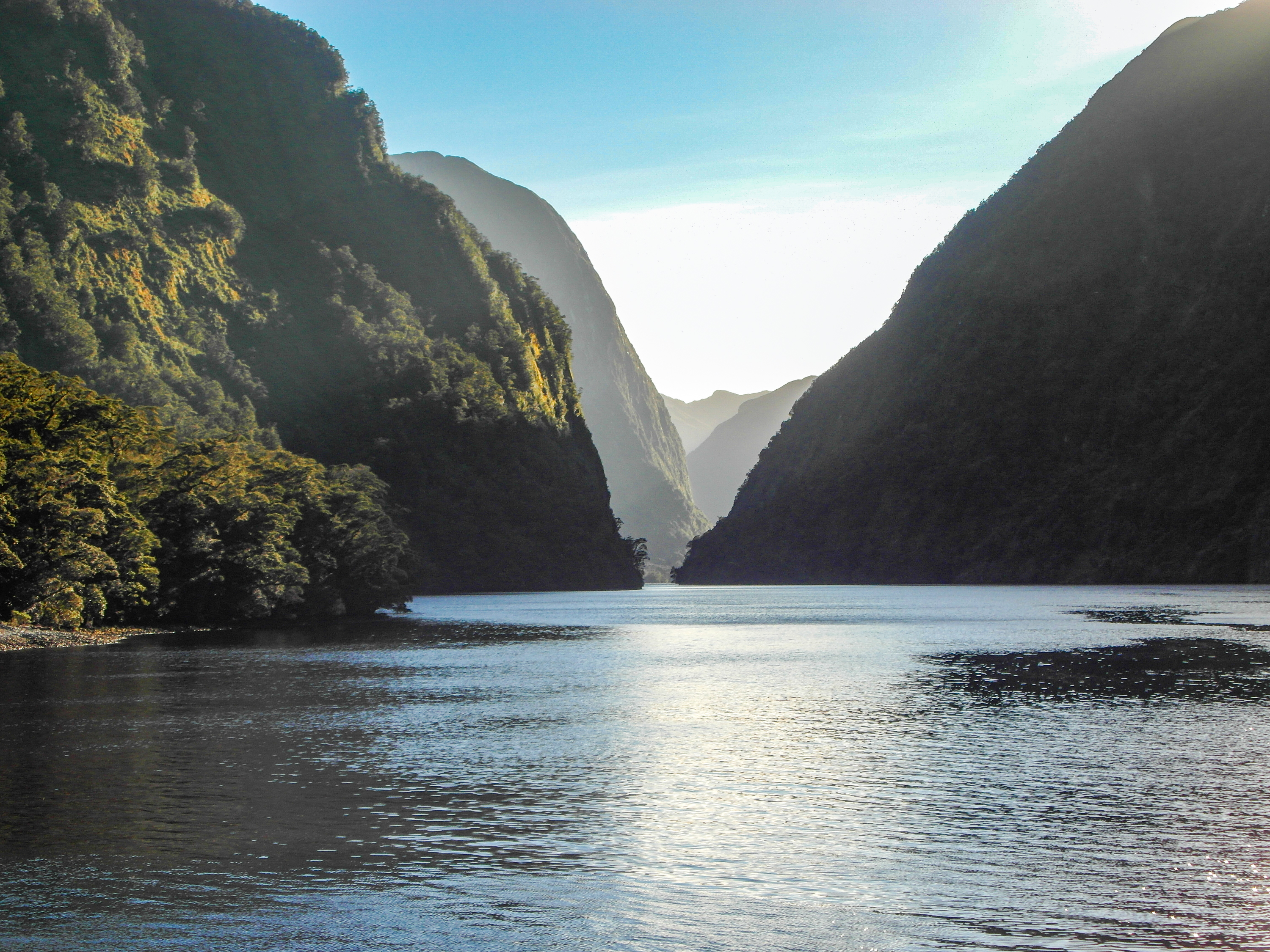 Morning light between steep forested mountains reflected on the calm water of Doubtful Sound.